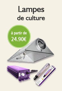 Lampes de culture